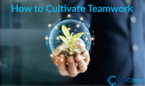 How to Cultivate Teamwork amongst Employees